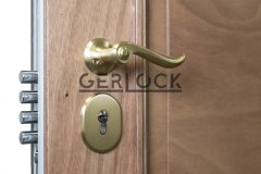 Security-lock-with-mat-brass-handle